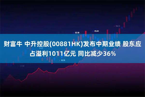 财富牛 中升控股(00881HK)发布中期业绩 股东应占溢利1011亿元 同比减少36%