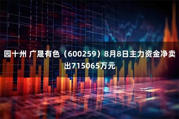 园十州 广晟有色（600259）8月8日主力资金净卖出715065万元