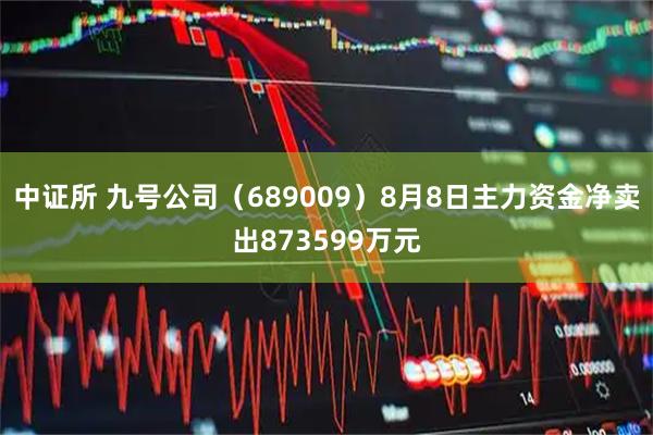 中证所 九号公司（689009）8月8日主力资金净卖出873599万元