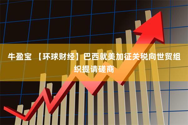牛盈宝 【环球财经】巴西就美加征关税向世贸组织提请磋商