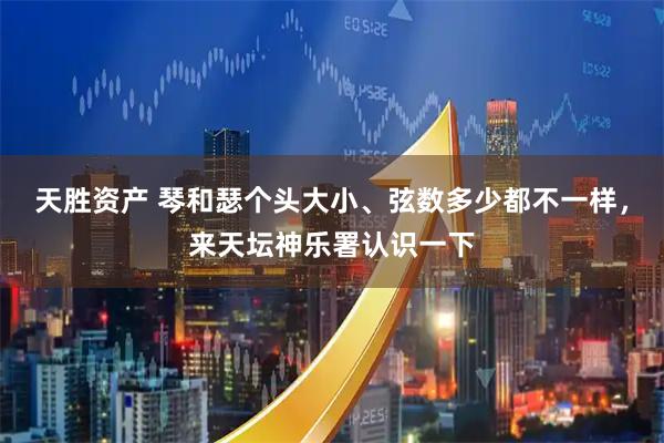 天胜资产 琴和瑟个头大小、弦数多少都不一样，来天坛神乐署认识一下