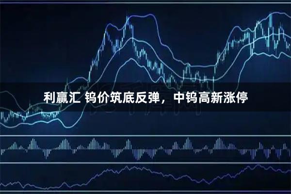 利赢汇 钨价筑底反弹，中钨高新涨停