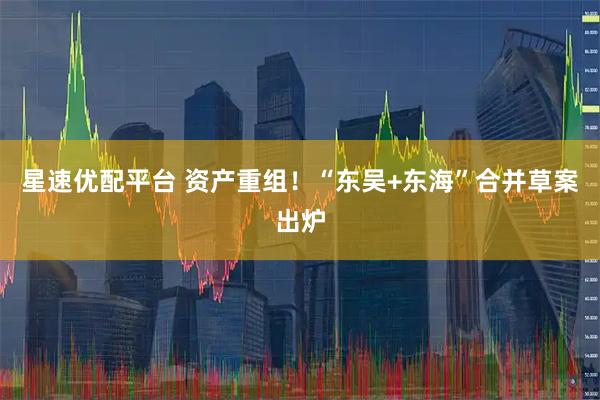 星速优配平台 资产重组!“东吴+东海”合并草案出炉