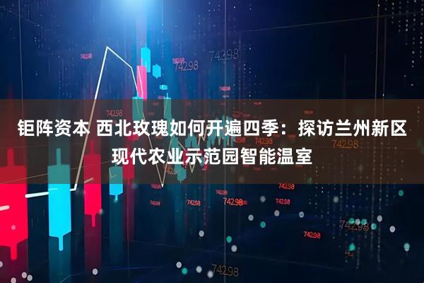 钜阵资本 西北玫瑰如何开遍四季：探访兰州新区现代农业示范园智能温室